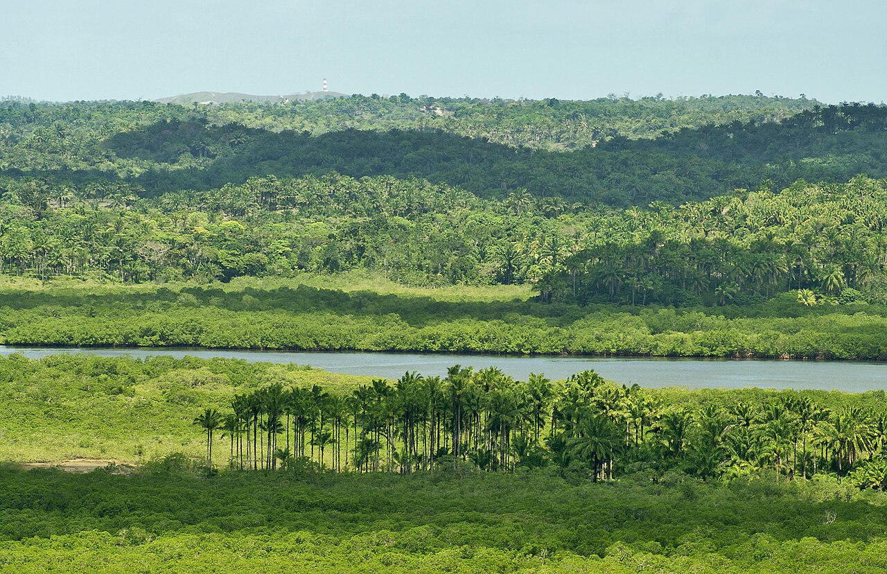 Destino Lancha: Camamu & Península de Maraú na Bahia