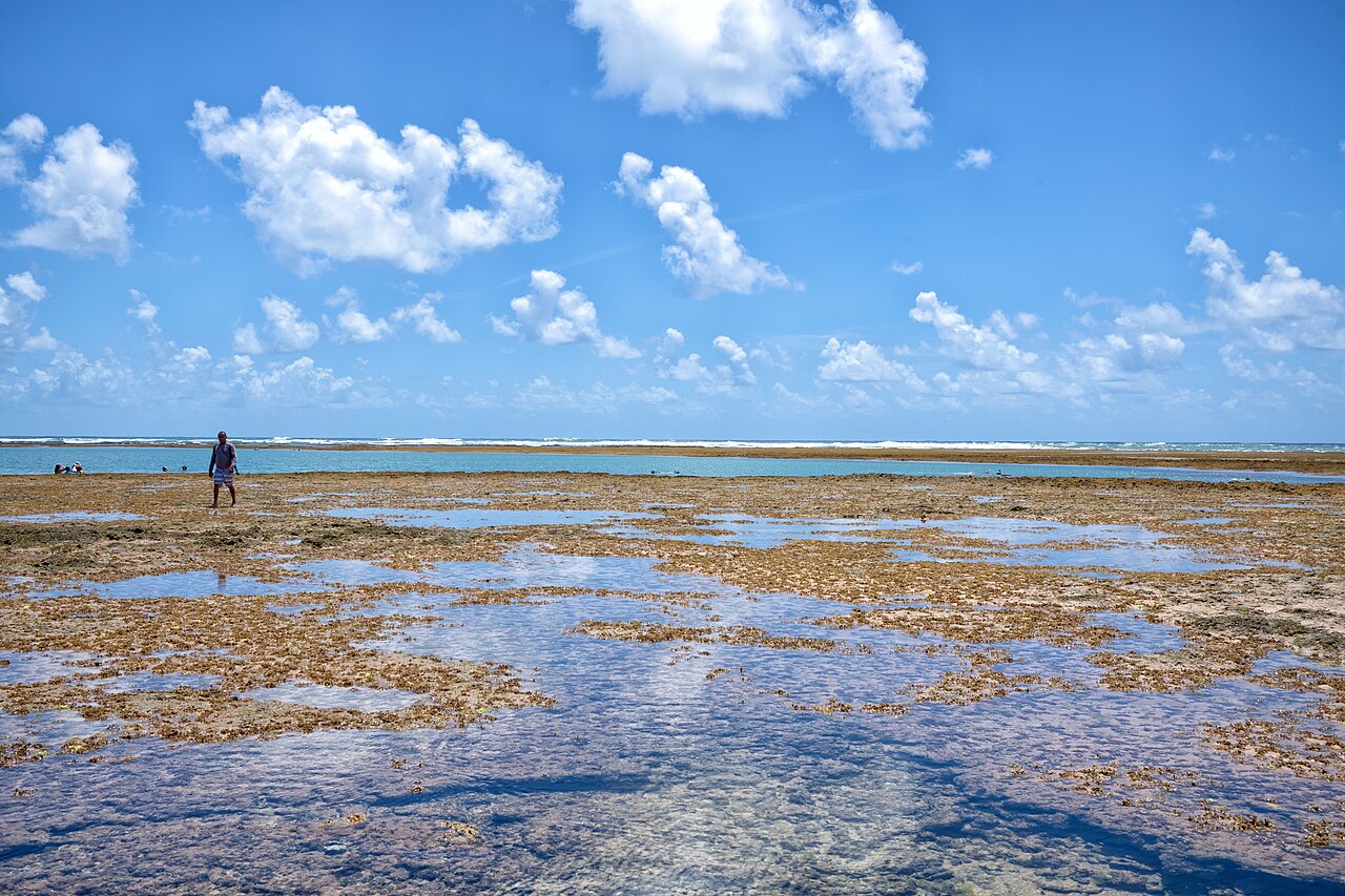 Destino Lancha: Camamu & Península de Maraú na Bahia